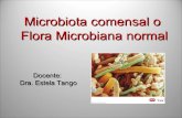 Clase 6-flora microbiana normal