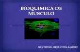 Bioquimica de musculo 1 (1)