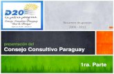 Informe de Gestión. D20 Paraguay (1ra. Parte)