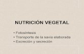 Fisiologia vegetal III: Nutrición