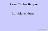 Juan Carlos Briquet - Humor - la vida es dura