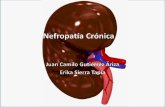 Nefropatía Crónica