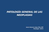 Patología general de las neoplasias correccion