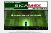 Presentacion Sicamex  distribución y ventas