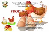 Produccion de huevo. expo
