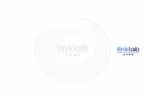 Linklab Comunicación Estratégica