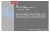 Guía de Diversificación Curricular 2012 - Mg. Hans Mejía Guerrero