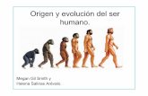Origen y Evolución.
