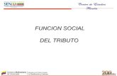 Función social del tributo 2010 Venzuela