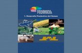 Programa Sectorial Desarrollo Productivo del Campo 2008-2013