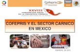 6 Dr Lucio Lastra Marin COFEPRIS La Cofepris y el Sector Cárnico en México