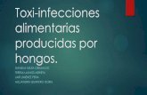 Toxi infecciones alimentarias producidas por hongos.