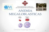 Anemia megaloblasticas