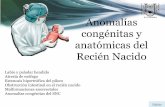 Anomalías congénitas y anatómicas Labio y paladar hendido Atresia de esófago Estenosis hipertrófica del píloro Obstrucción intestinal en el recién nacido Malformaciones anorrectales
