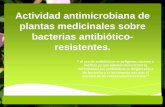 Actividad antimicrobiana