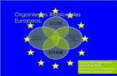 Organismos regionales europeos