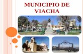 Experiencia del SLIM del municipio de Viacha