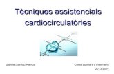 Tècniques assistencials cardiocirculatòries