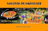 Sexto Festival Comunitario por la Vida en Medellín