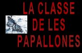 SOM LA CLASSE DE LES PAPALLONES 2014-2015