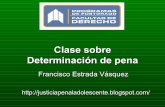 Clase sobre Determinación de la Pena en la Ley de Responsabilidad Penal Adolescente Francisco Estrada (Chile)