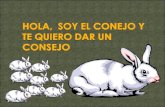 Presentacion Conejo