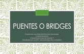 Puentes o Bridges