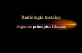 Radiología del torax de pequeños animales