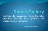 Phoca gallery