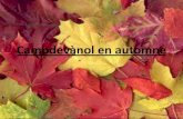 Adriel - INS ABAT OLIBA de Ripoll - Campdevànol en automne