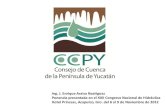 Participación social. Caso del Consejo de Cuenca Peninsula Yucatan