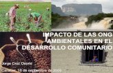 Impacto de las ONG Ambientales en el Desarrollo Comunitario