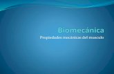 Biomecanica 6