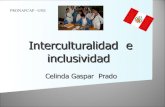 Interculturalidad  e inclusividad