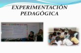 Experimentacion pedagogica esp form