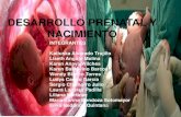 Desarrollo prenatal y nacimiento (1)