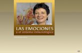 Stella Maris - Emociones & Sistema Inmunologico (por: carlitosrangel)r] ss