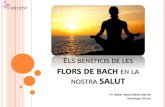 Els Beneficis de les Flors de Bach en la nostra Salut