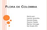 FLORA DE COLOMBIA.
