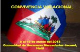 Bandera de haiti 2013