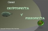 Cryptophyta expo final2