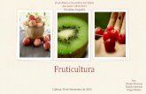 Fruticultura, Geografia 11º ano