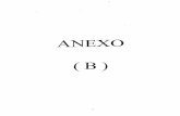 Anexo B Intersul