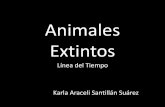 Linea del tiempo. animales extintos