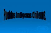 Pueblos Indigenas Chilenos