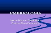 Embriologia del sistema digestivo