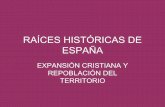 Historia españa raices historicas reconquista y repoblación