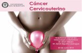 Cancer cervix cuello uterino 2014 chile ges