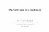 Malformaciones cardiacas 2 - Embriología ERA 3