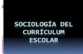 Exposición sociología del currículum